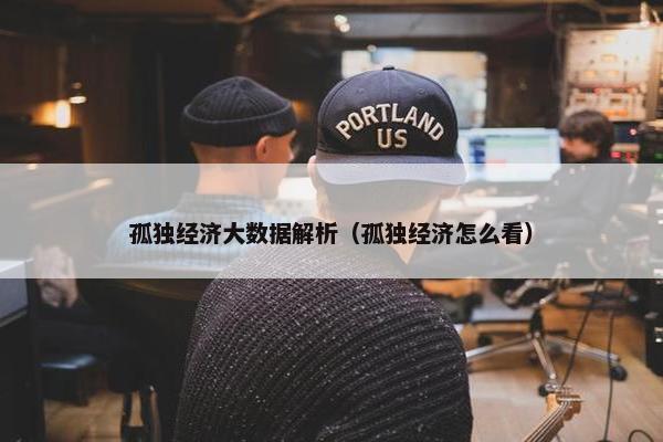 孤独经济大数据解析（孤独经济怎么看）