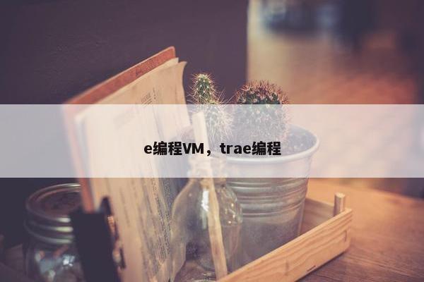 e编程VM，trae编程
