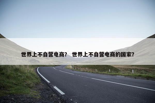 世界上不自营电商？ 世界上不自营电商的国家？