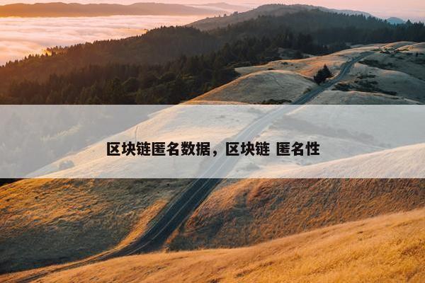 区块链匿名数据，区块链 匿名性