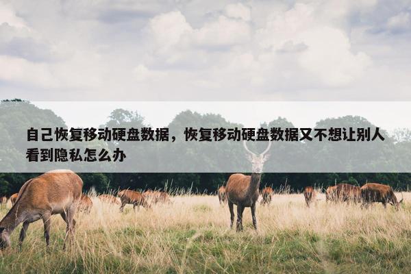 自己恢复移动硬盘数据，恢复移动硬盘数据又不想让别人看到隐私怎么办