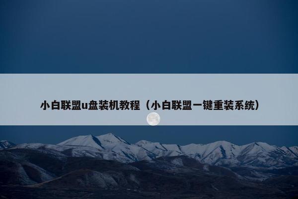 小白联盟u盘装机教程（小白联盟一键重装系统）