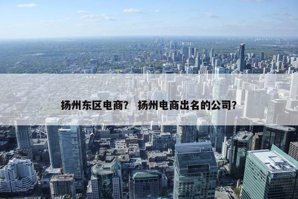 扬州东区电商？ 扬州电商出名的公司？