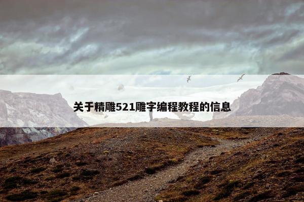 关于精雕521雕字编程教程的信息