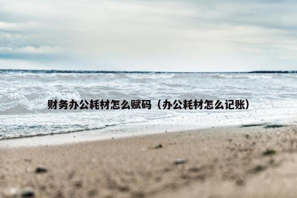 财务办公耗材怎么赋码（办公耗材怎么记账）