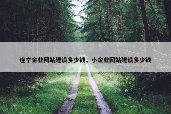 遂宁企业网站建设多少钱，小企业网站建设多少钱