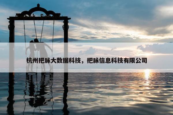 杭州把脉大数据科技，把脉信息科技有限公司