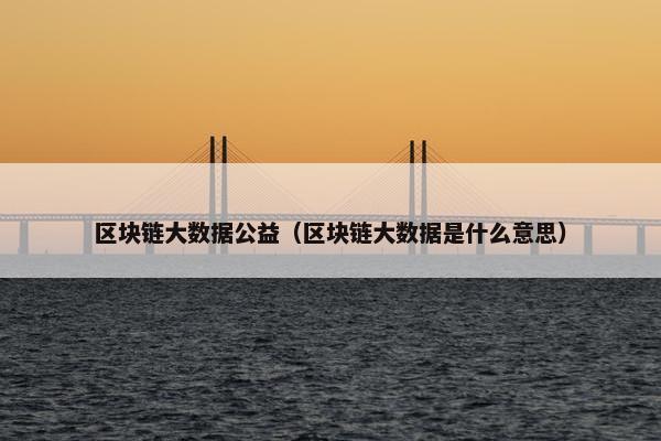 区块链大数据公益（区块链大数据是什么意思）