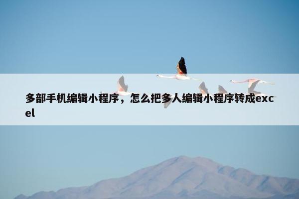 多部手机编辑小程序，怎么把多人编辑小程序转成excel