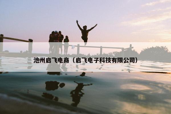 池州启飞电商（启飞电子科技有限公司）