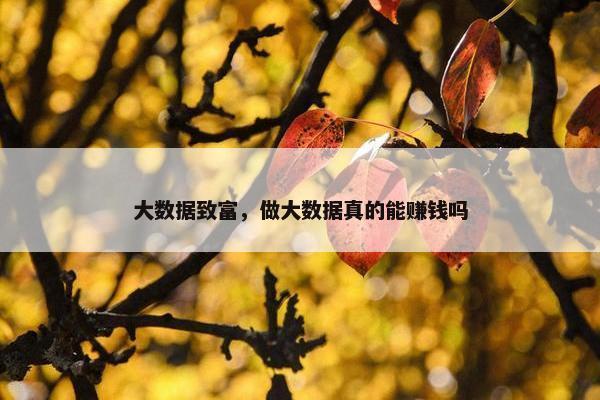 大数据致富，做大数据真的能赚钱吗
