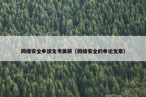网络安全申请文书美研（网络安全的申论文章）