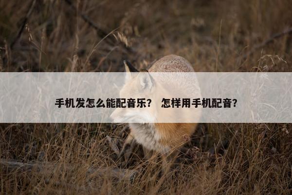 手机发怎么能配音乐？ 怎样用手机配音？