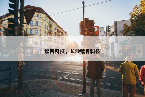 镭目科技，长沙镭目科技