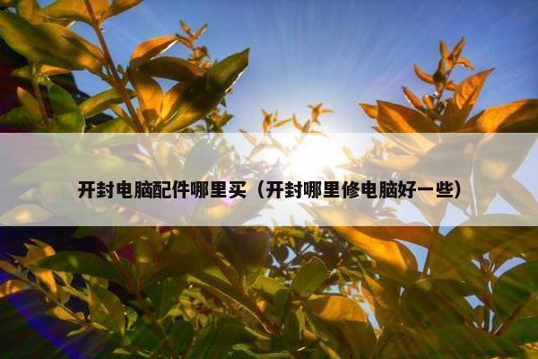 开封电脑配件哪里买（开封哪里修电脑好一些）