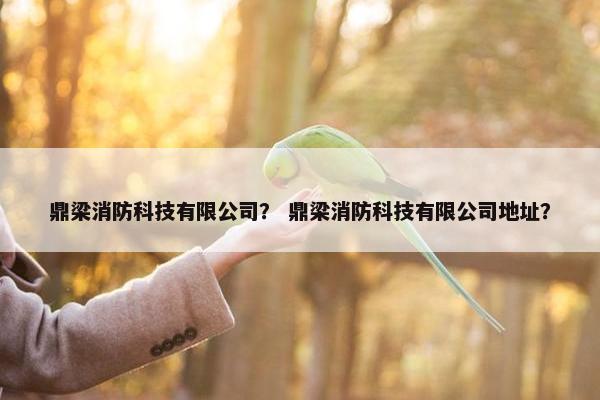 鼎梁消防科技有限公司？ 鼎梁消防科技有限公司地址？