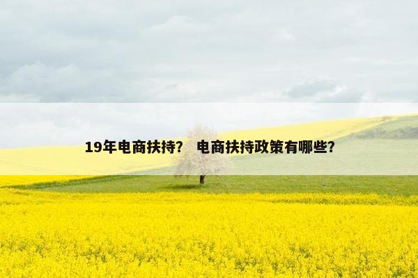 19年电商扶持？ 电商扶持政策有哪些？