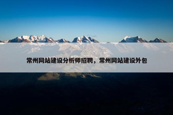 常州网站建设分析师招聘，常州网站建设外包