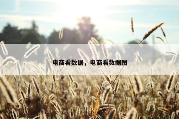 电商看数据，电商看数据图