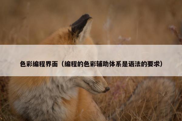 色彩编程界面（编程的色彩辅助体系是语法的要求）