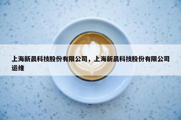 上海新晨科技股份有限公司，上海新晨科技股份有限公司运维