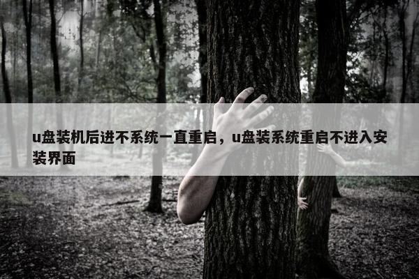 u盘装机后进不系统一直重启，u盘装系统重启不进入安装界面