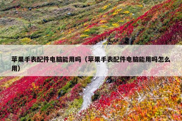苹果手表配件电脑能用吗（苹果手表配件电脑能用吗怎么用）
