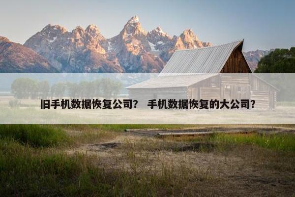 旧手机数据恢复公司？ 手机数据恢复的大公司？