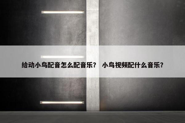 给动小鸟配音怎么配音乐？ 小鸟视频配什么音乐？