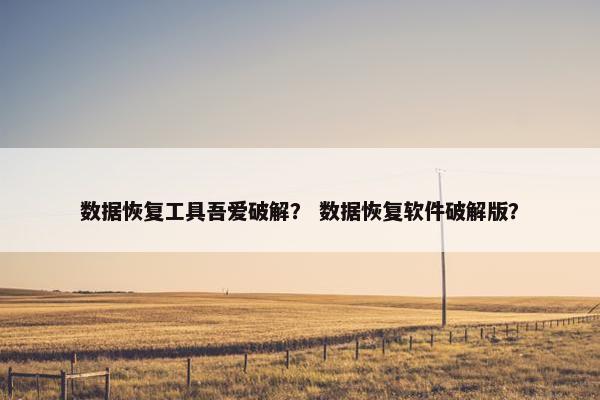 数据恢复工具吾爱破解？ 数据恢复软件破解版？