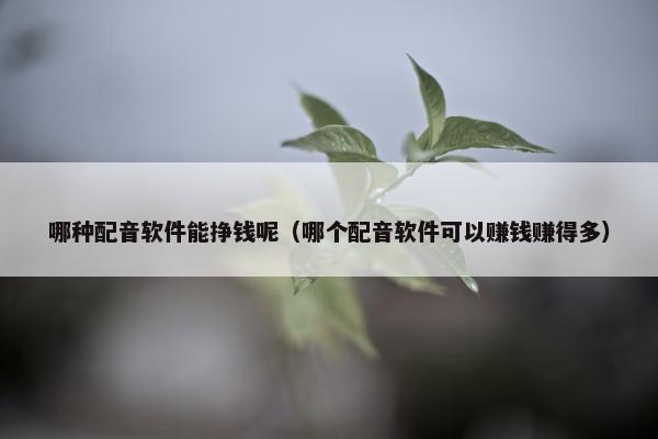 哪种配音软件能挣钱呢（哪个配音软件可以赚钱赚得多）