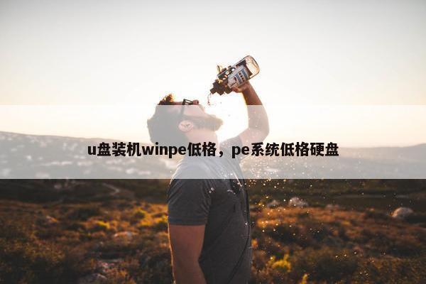 u盘装机winpe低格，pe系统低格硬盘