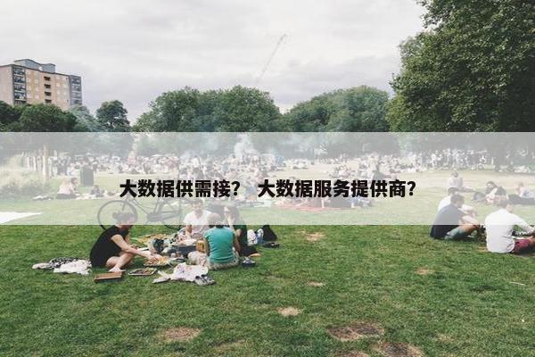 大数据供需接？ 大数据服务提供商？