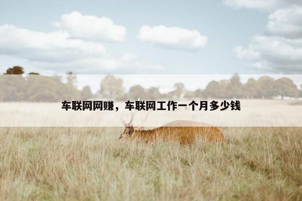 车联网网赚，车联网工作一个月多少钱