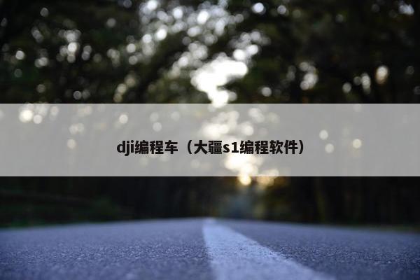 dji编程车（大疆s1编程软件）
