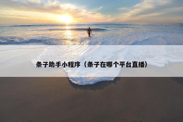 条子助手小程序（条子在哪个平台直播）