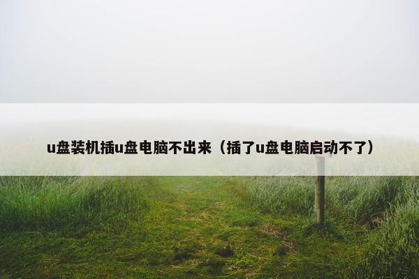 u盘装机插u盘电脑不出来（插了u盘电脑启动不了）
