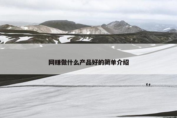 网赚做什么产品好的简单介绍