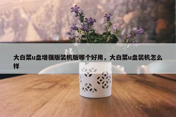 大白菜u盘增强版装机版哪个好用，大白菜u盘装机怎么样