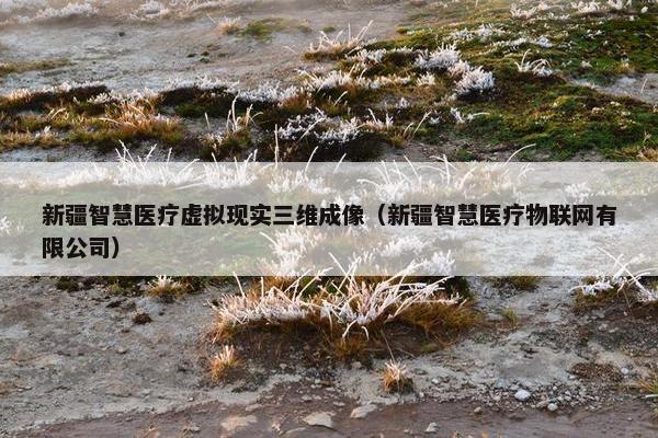 新疆智慧医疗虚拟现实三维成像（新疆智慧医疗物联网有限公司）