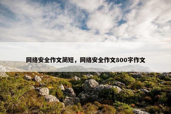 网络安全作文简短，网络安全作文800字作文