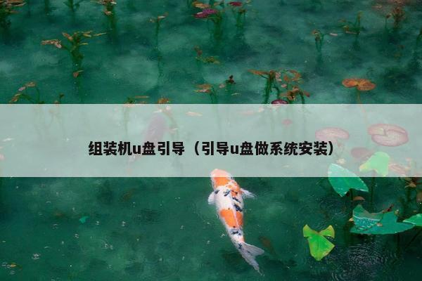 组装机u盘引导（引导u盘做系统安装）