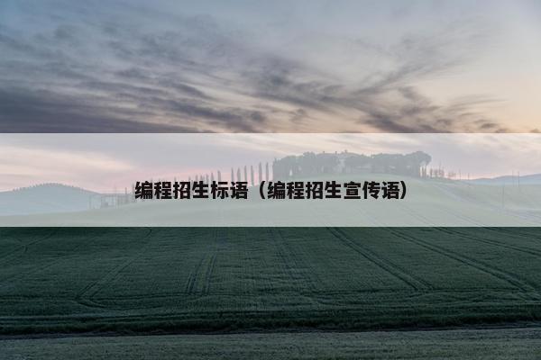 编程招生标语（编程招生宣传语）