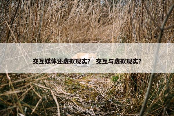 交互媒体还虚拟现实？ 交互与虚拟现实？