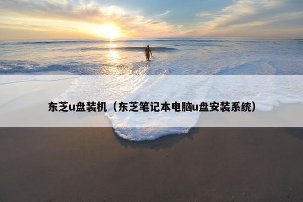 东芝u盘装机（东芝笔记本电脑u盘安装系统）