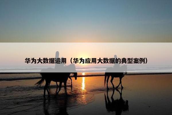 华为大数据运用（华为应用大数据的典型案例）