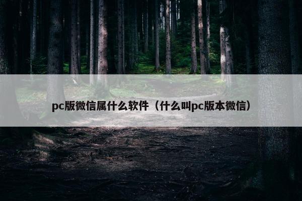 pc版微信属什么软件（什么叫pc版本微信）