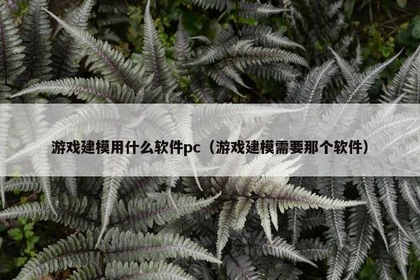 游戏建模用什么软件pc（游戏建模需要那个软件）
