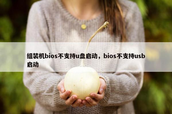组装机bios不支持u盘启动，bios不支持usb启动