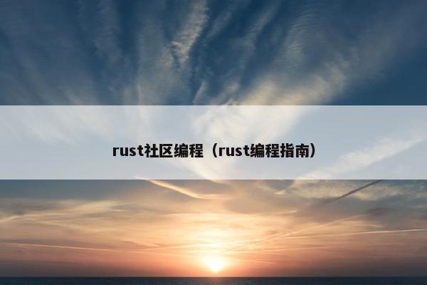 rust社区编程（rust编程指南）